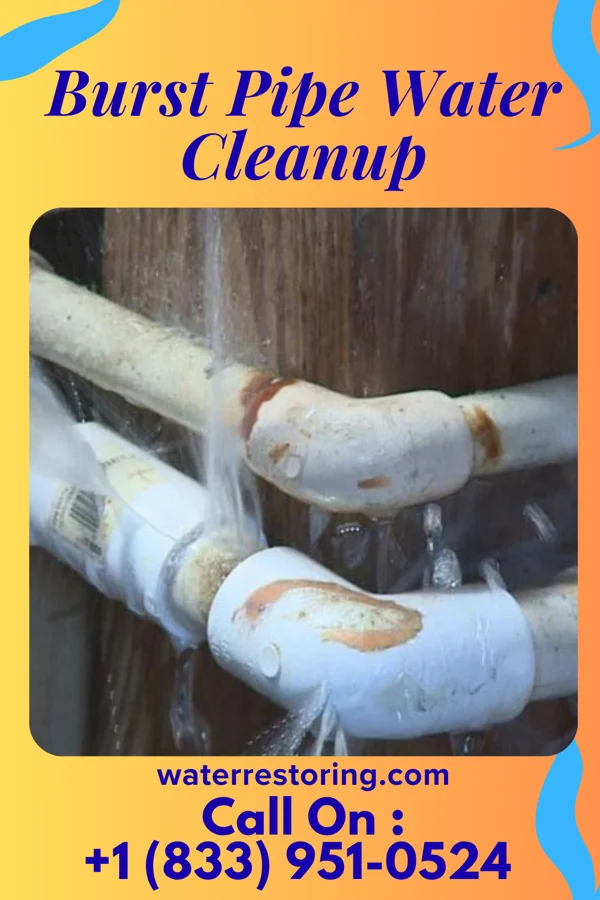 Burst Pipe Water Cleanup in Funkstown, MD