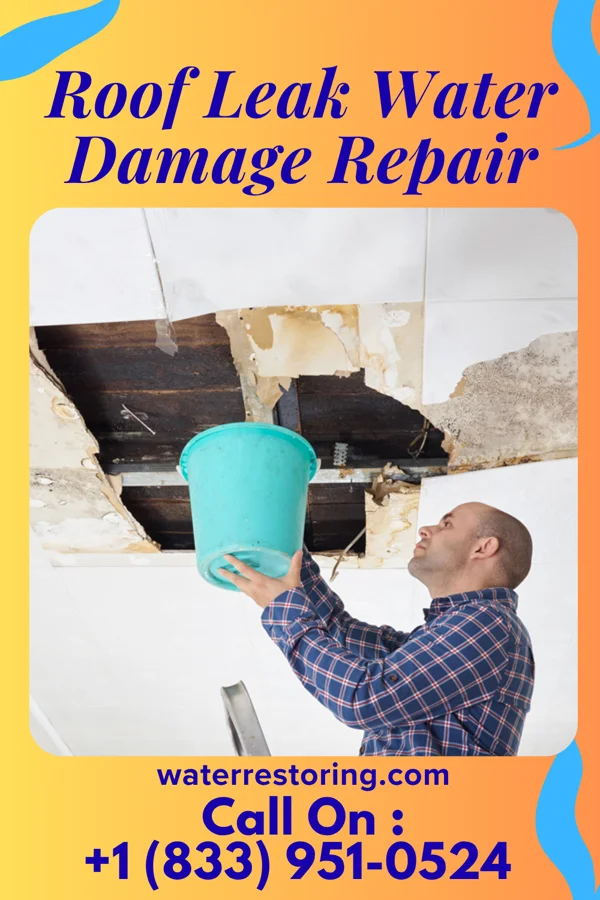 Roof Leak Water Damage Repair in Funkstown, MD