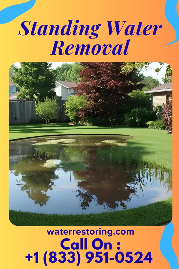 Standing Water Removal in Funkstown, MD